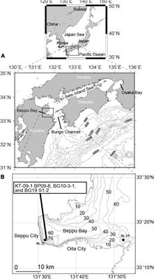 Marine Environmental Change Induced by Anthropogenic Activities – From a Viewpoint of Aquatic Palynomorph Assemblages Preserved in Sediment Cores of Beppu Bay, West Japan